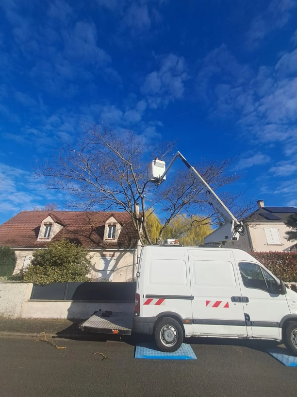 Image d'un chantier en cours pour l'élagage d'un arbre dans une cours pour un client à Orléans