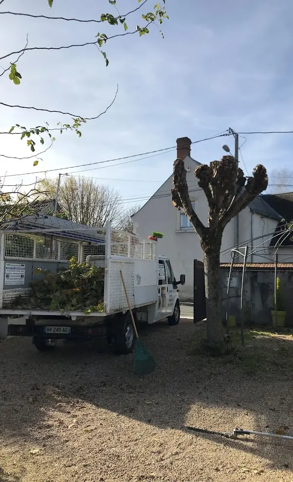 Pourquoi élaguer ses arbres au printemps ? Les bonnes raisons d&rsquo;agir maintenant