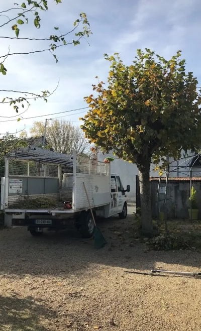 Image d'un arbre fruitier dans un jardin avant élagage pour un client à Orléans