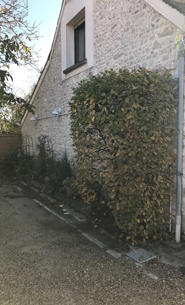Image d'une haie après intervention pour un client à Orléans