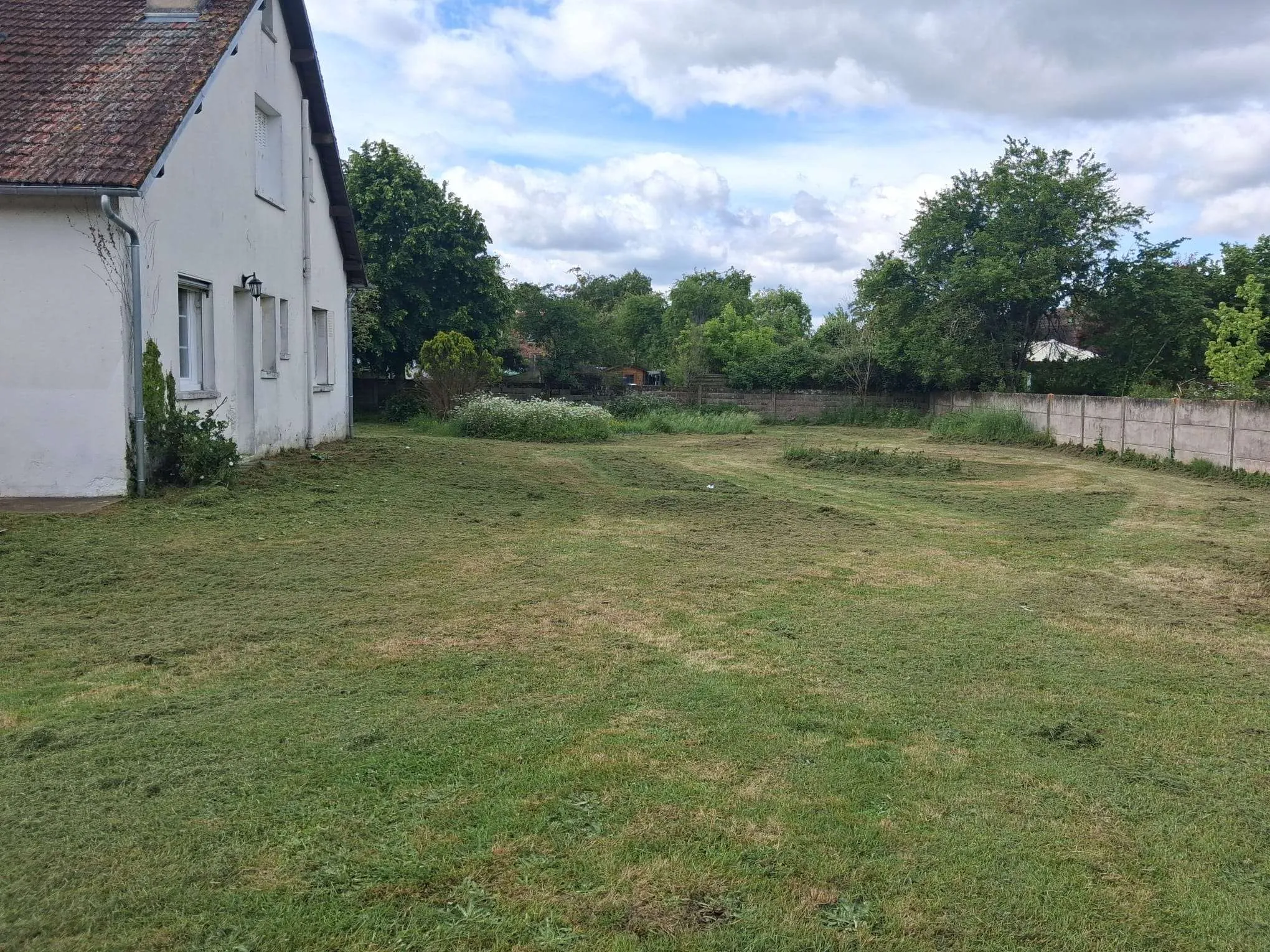 tonte-de-pelouse-à-orléans-après-vue-de-côté-derrière