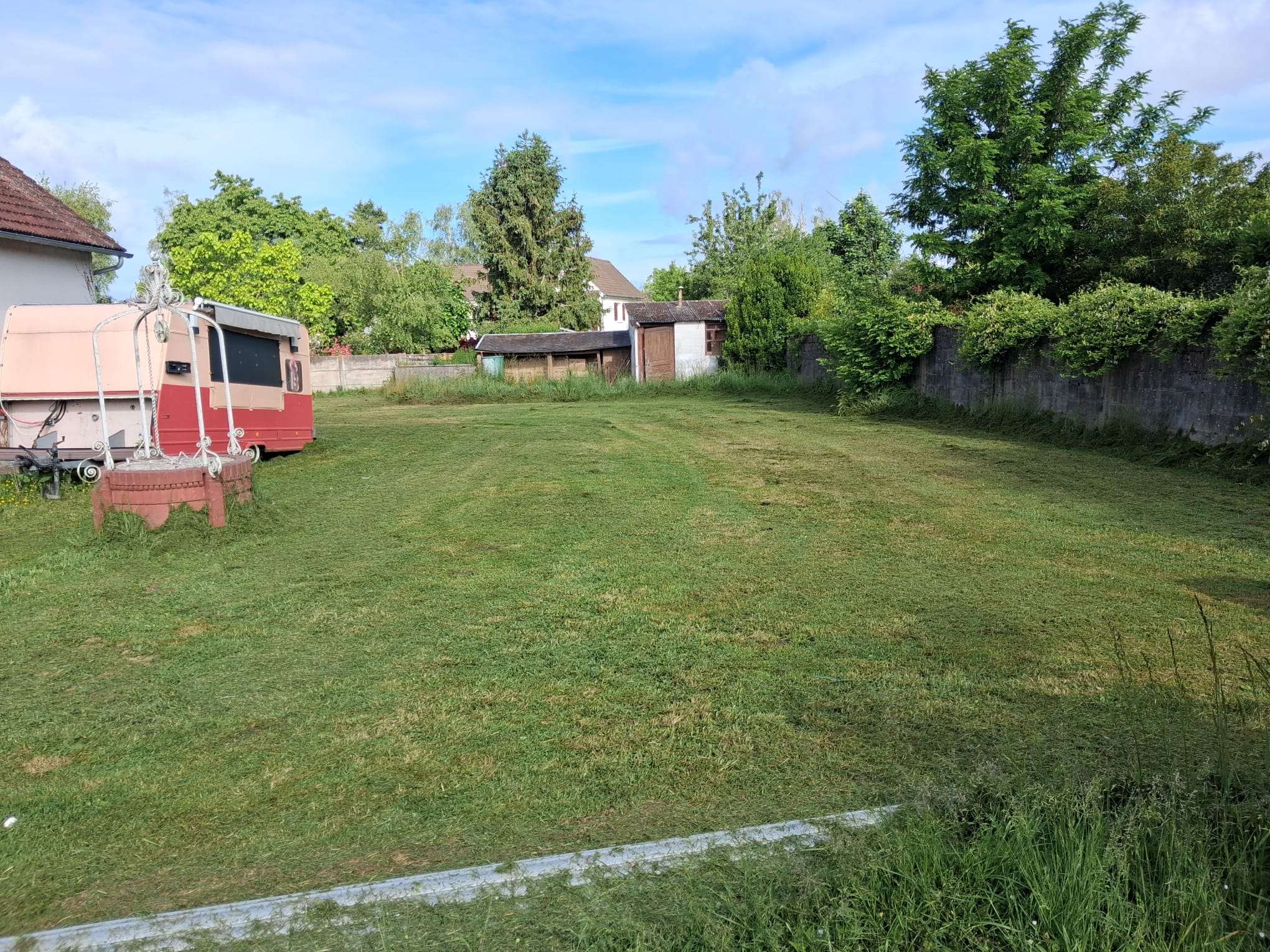 tonte-de-pelouse-à-orléans-après-vue-de-côté-gauche