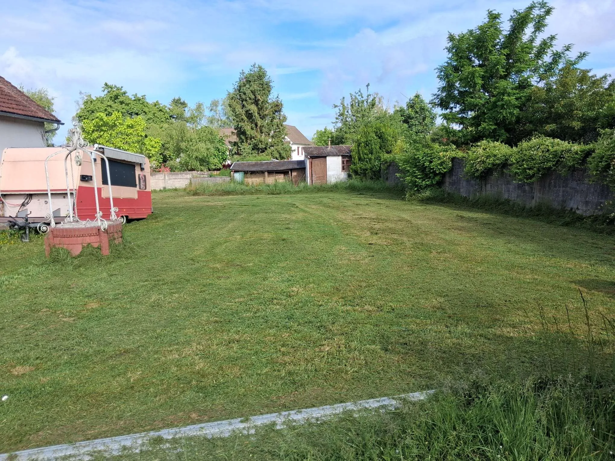 tonte-de-pelouse-à-orléans-après-vue-de-côté-gauche