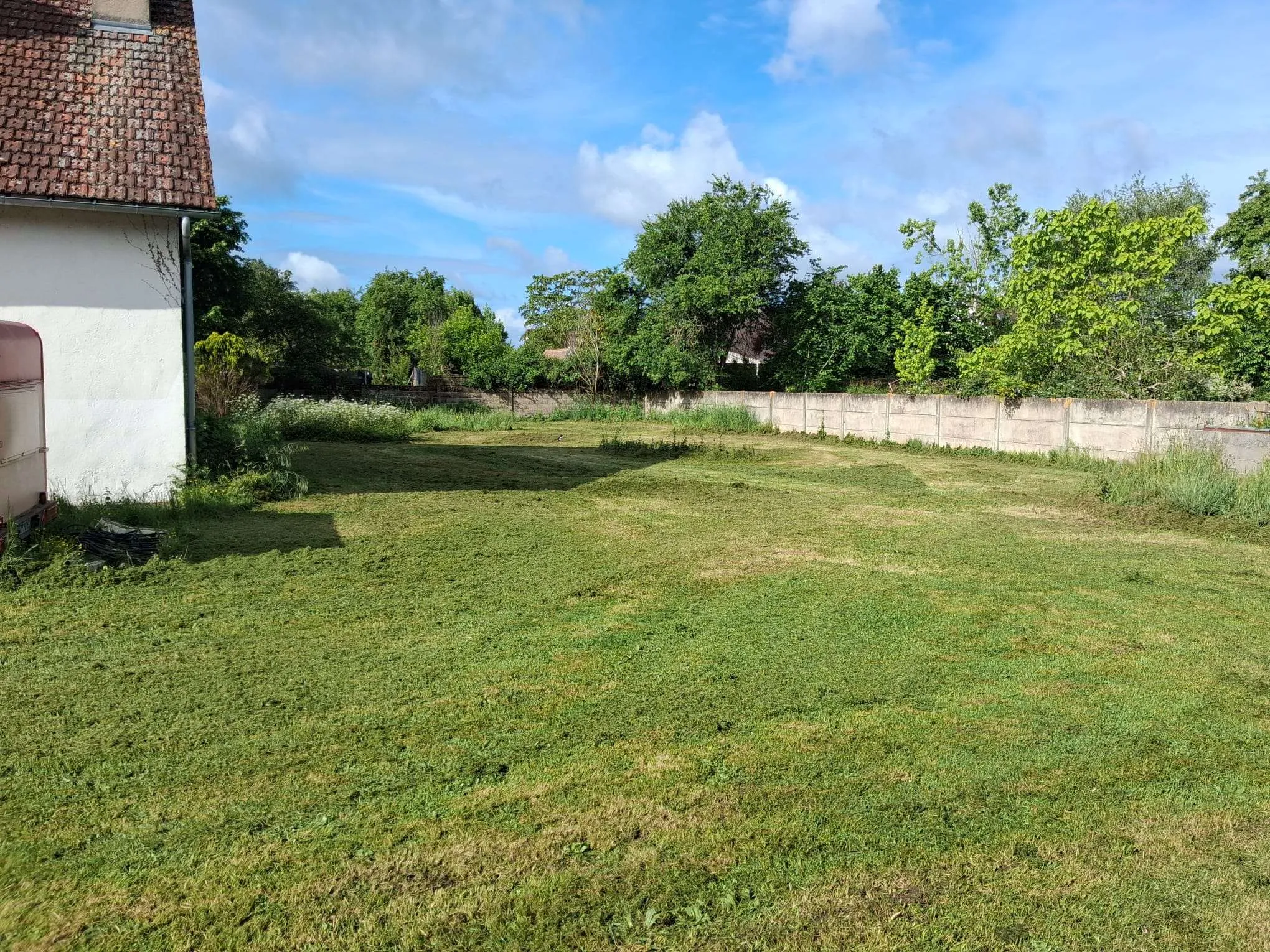 tonte-de-pelouse-à-orléans-après-vue-de-côté