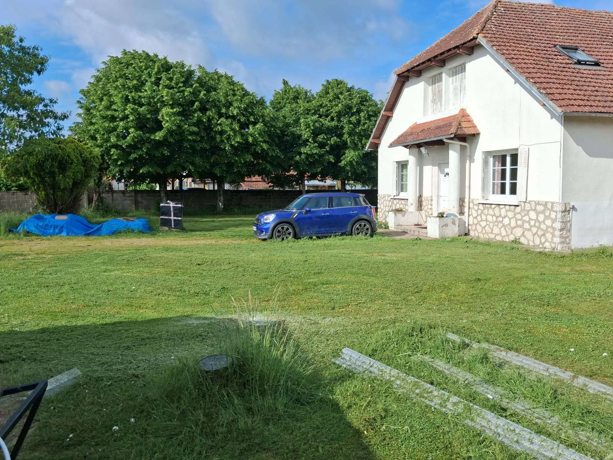 tonte-de-pelouse-à-orléans-après