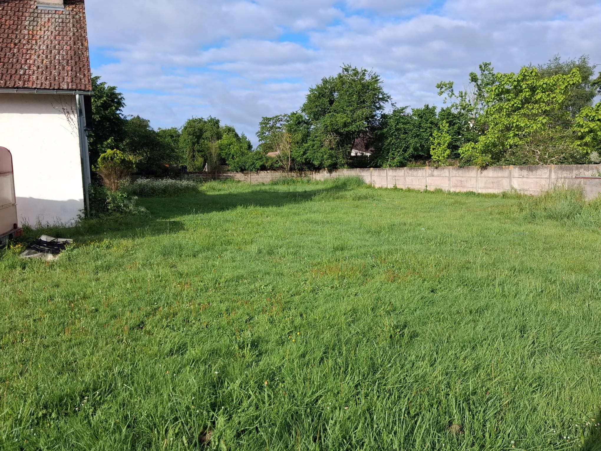 tonte-de-pelouse-à-orléans-avant-vue-de-derrière